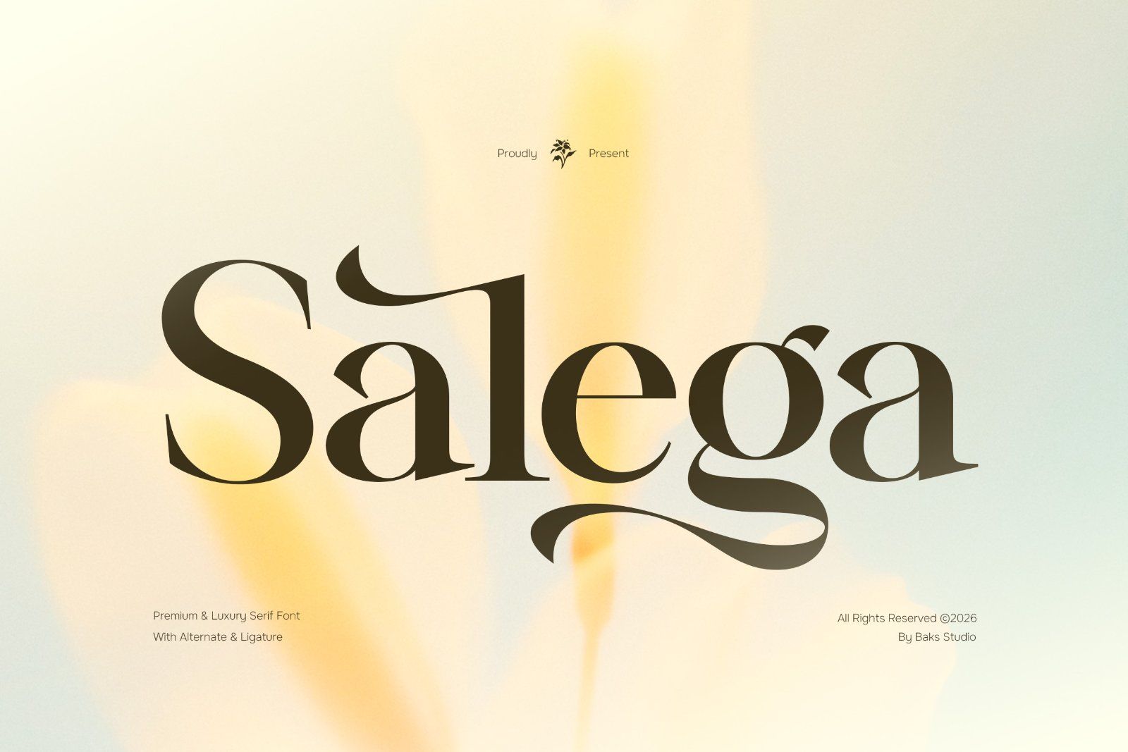 Salega | Premium & Luxury Serif