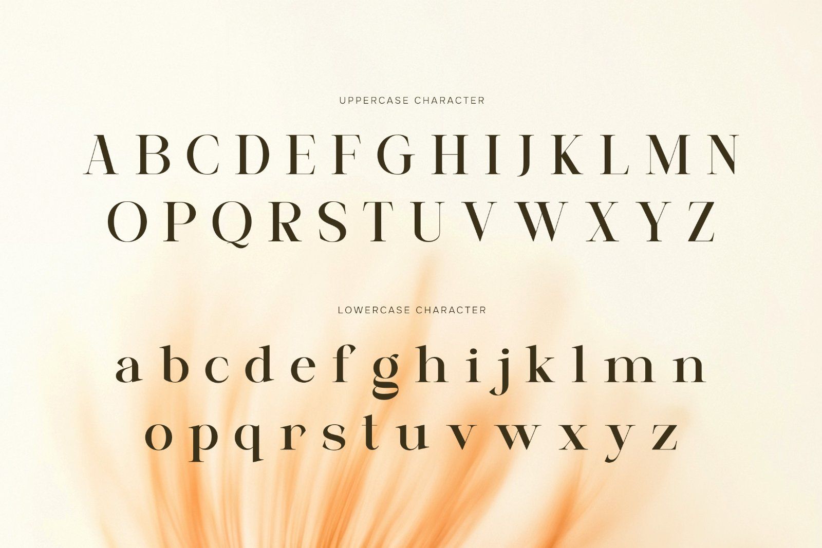 Salega | Premium & Luxury Serif
