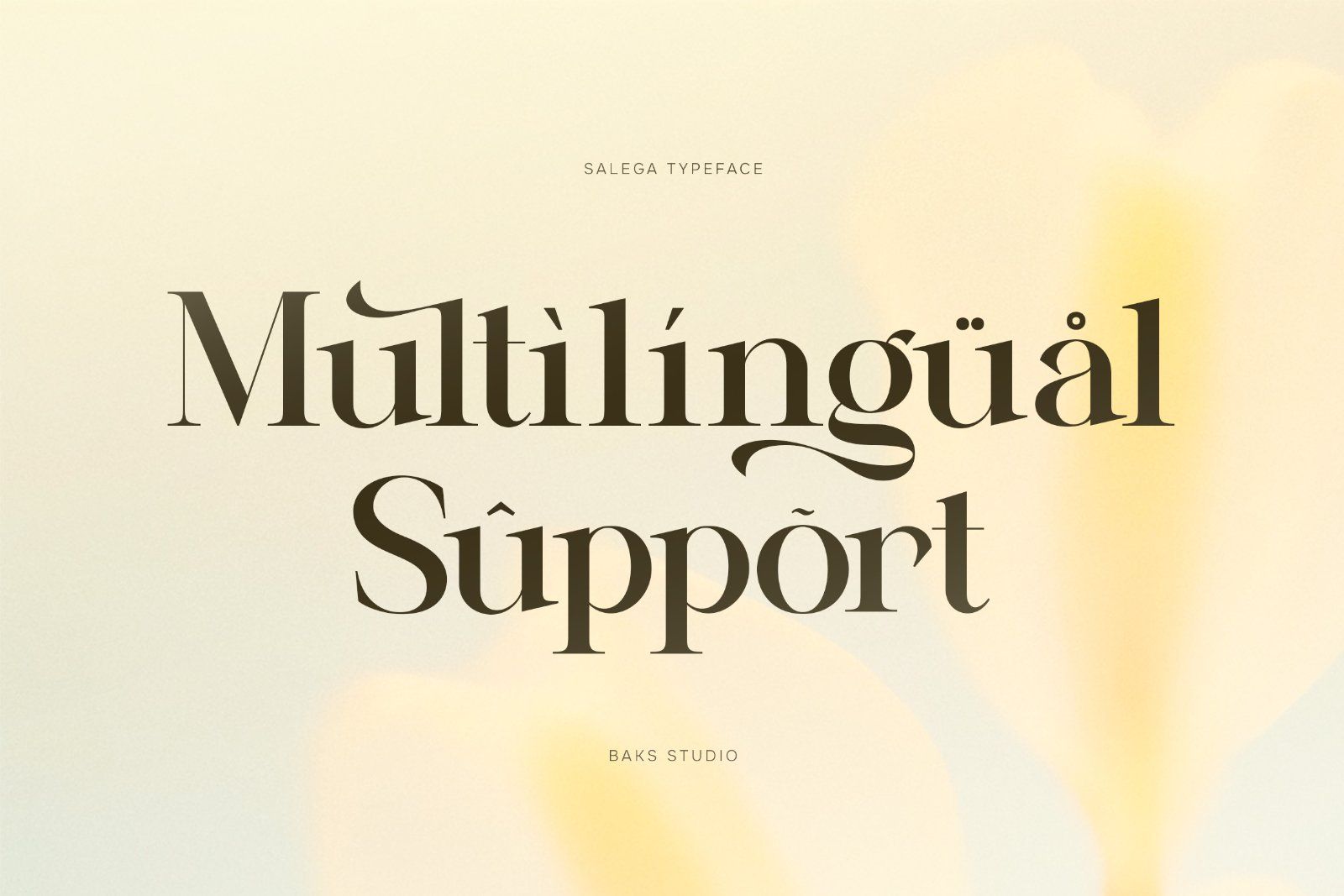 Salega | Premium & Luxury Serif