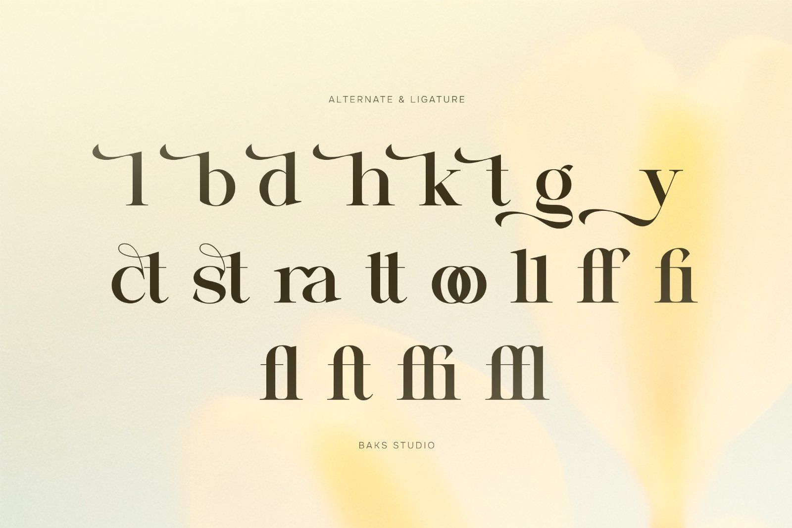 Salega | Premium & Luxury Serif
