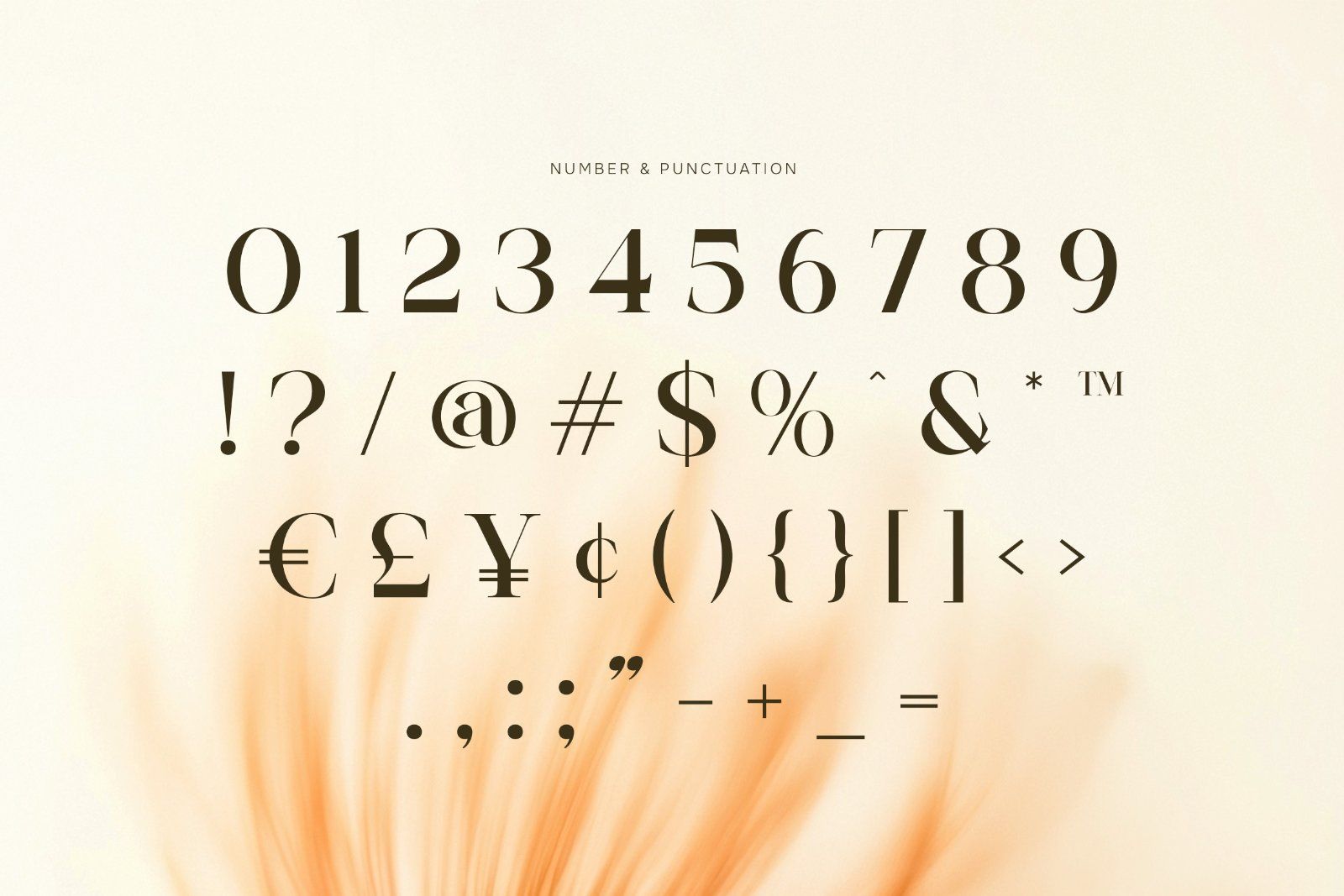 Salega | Premium & Luxury Serif