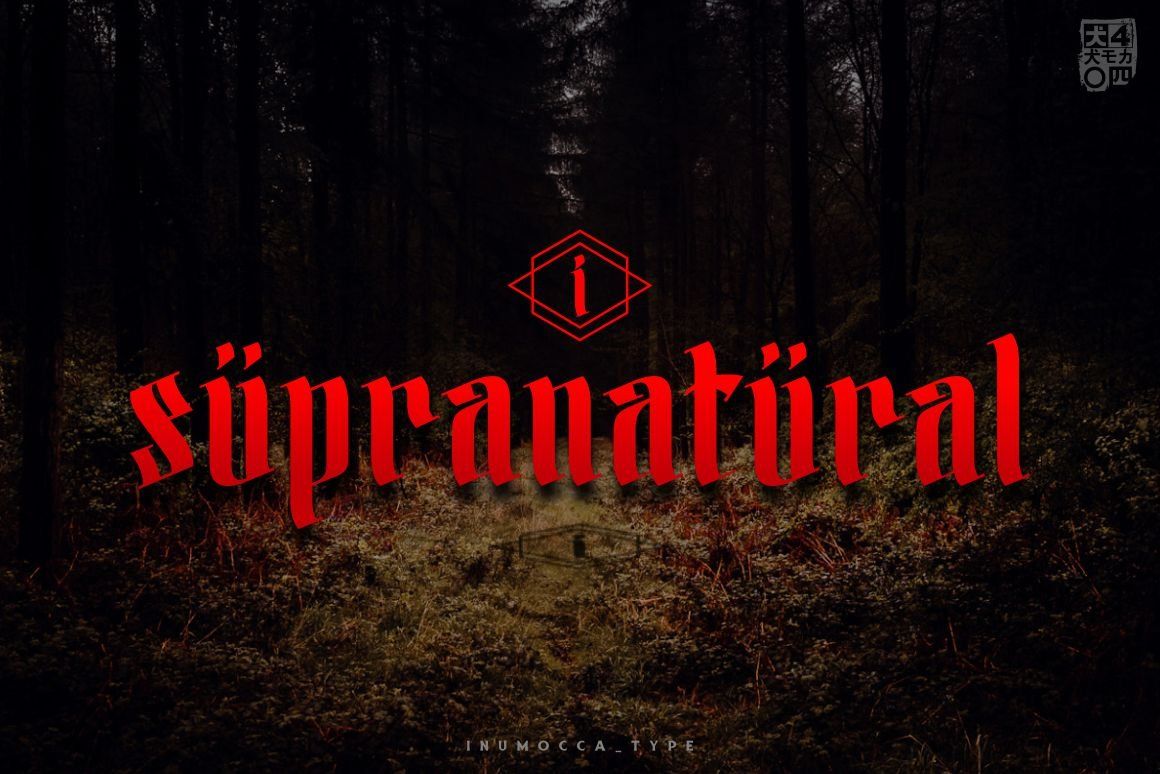 Sanekala Typeface — image 4