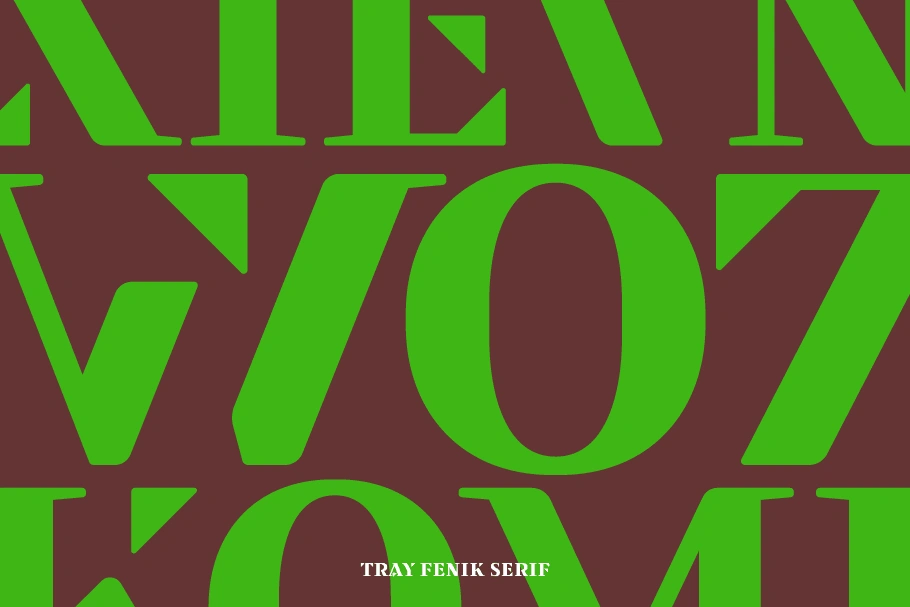 Tray Fenik Serif — image 4