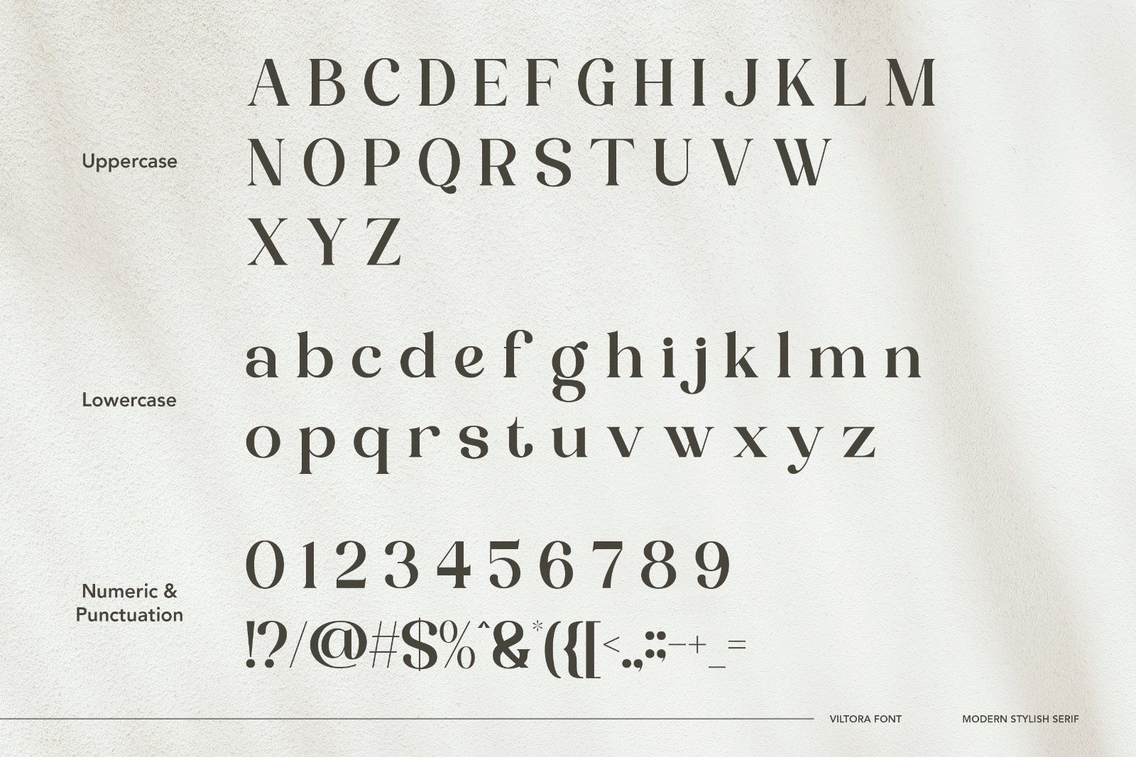 Viltoria - Stylish Serif Font — image 8