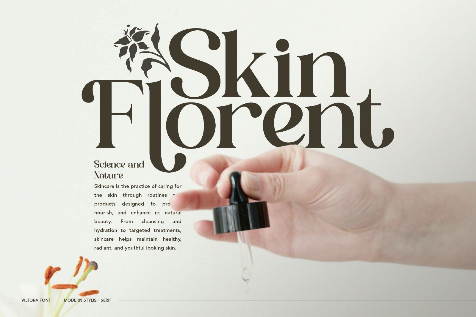 Viltoria - Stylish Serif Font — image 4