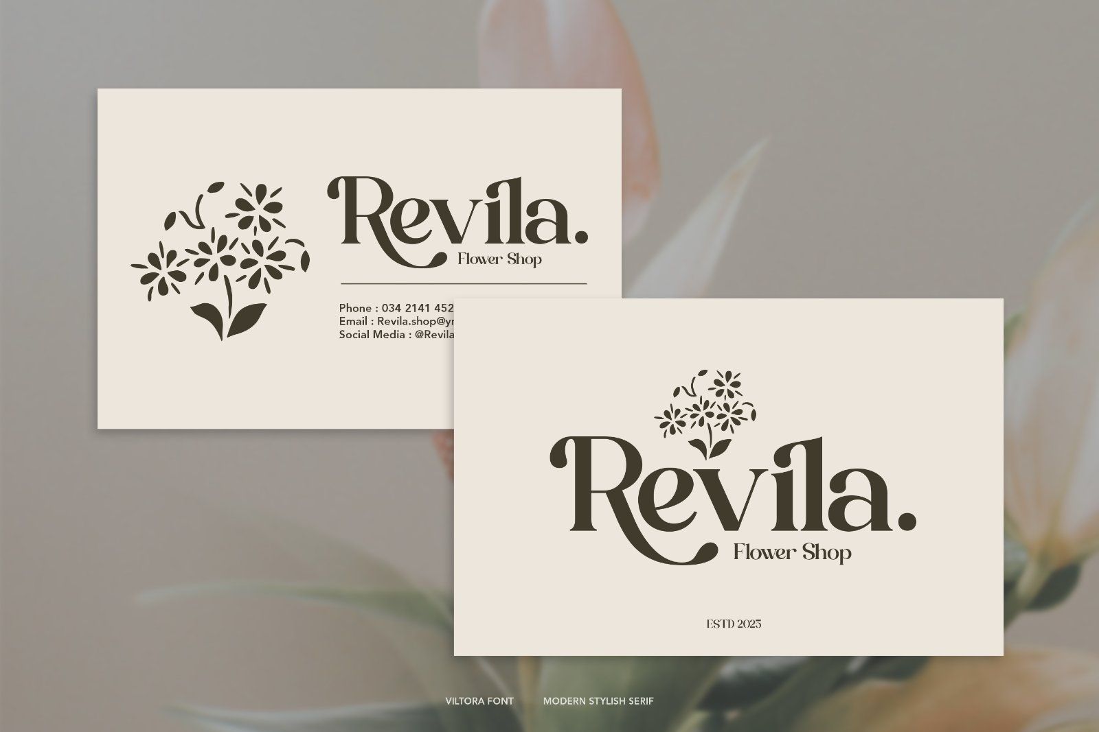 Viltoria - Stylish Serif Font — image 7