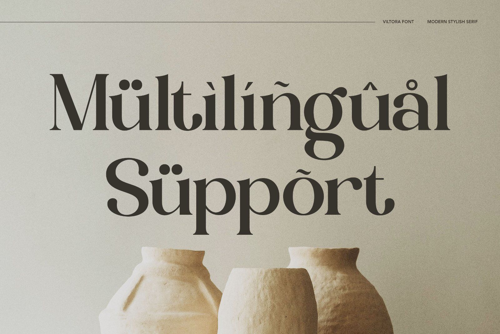 Viltoria - Stylish Serif Font — image 10