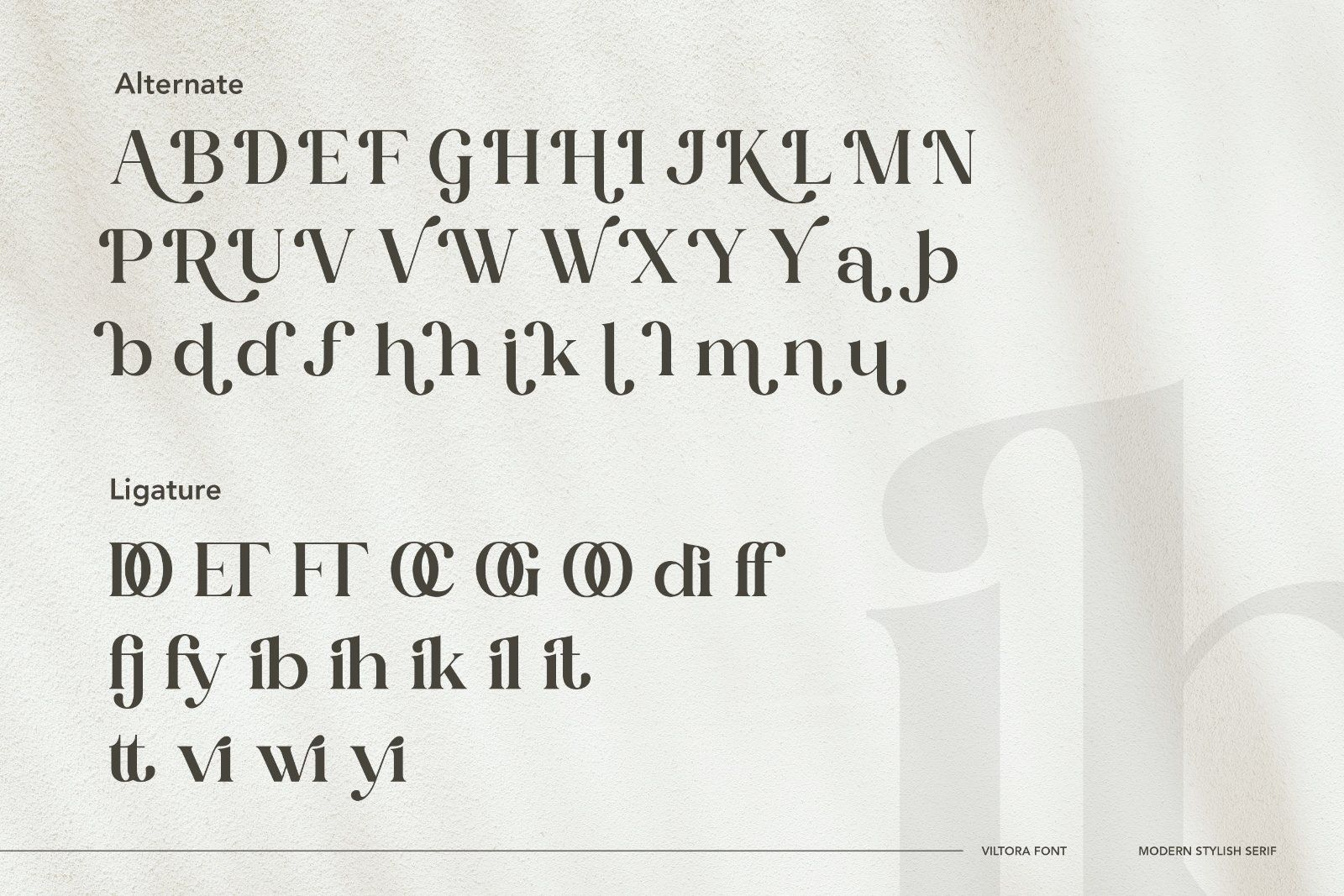 Viltoria - Stylish Serif Font — image 9