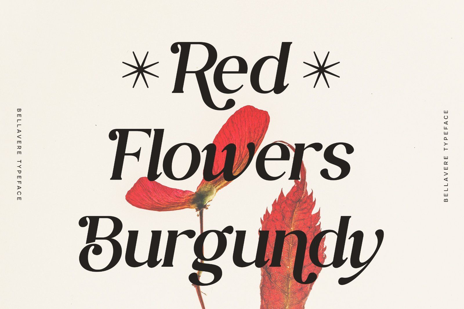 Bellavere - Elegant Italic Serif Font — image 3