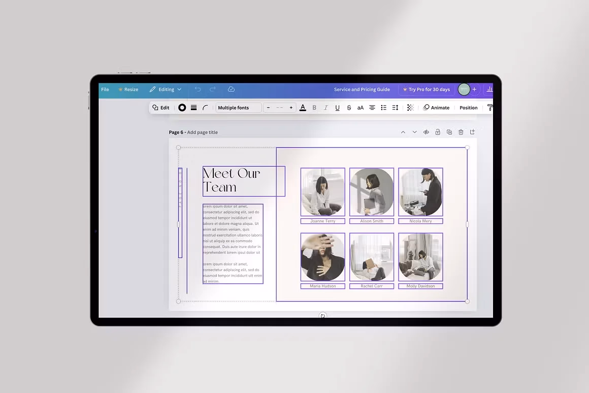 Service and Pricing Guide Canva