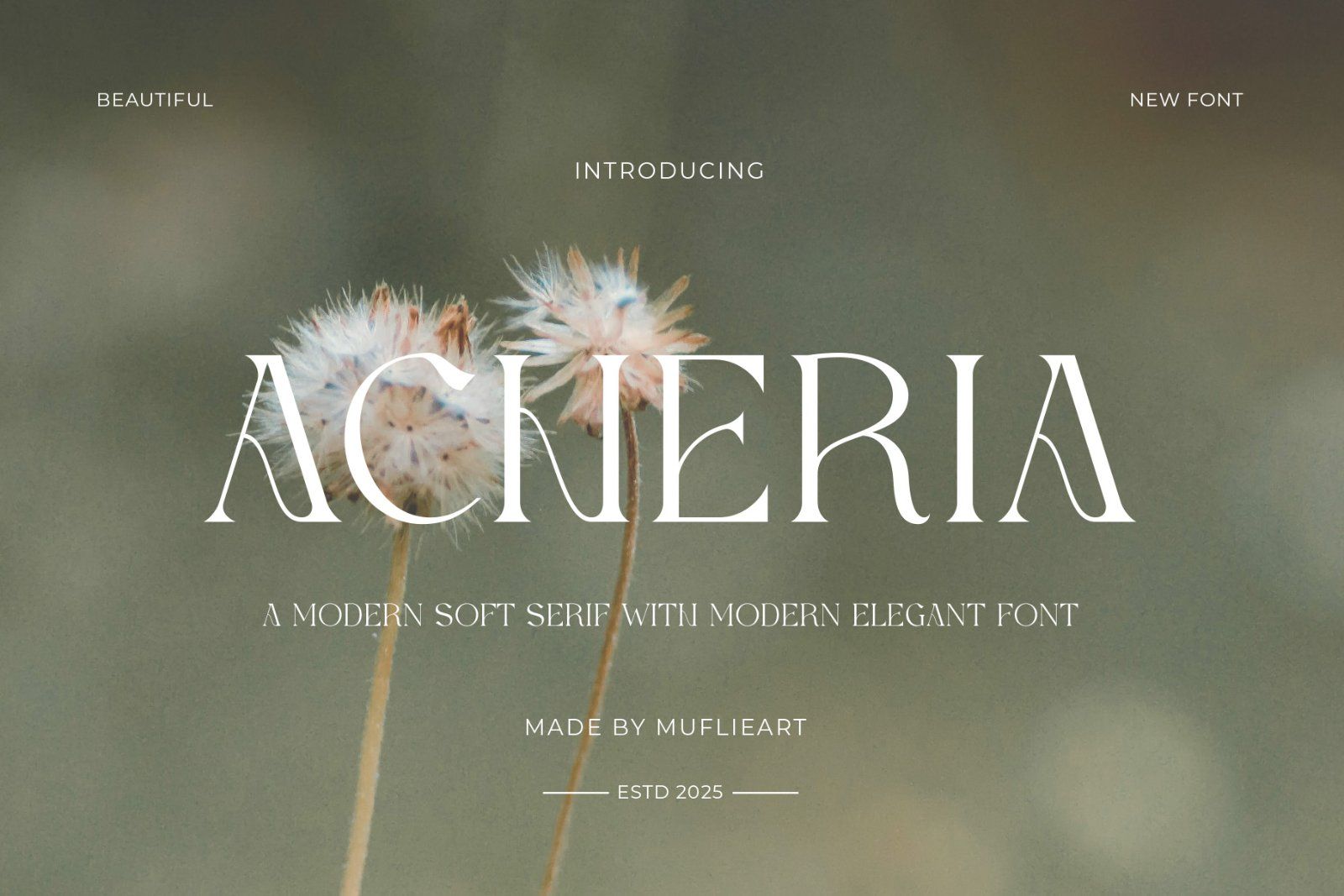 Acheria - Modern Soft Serif