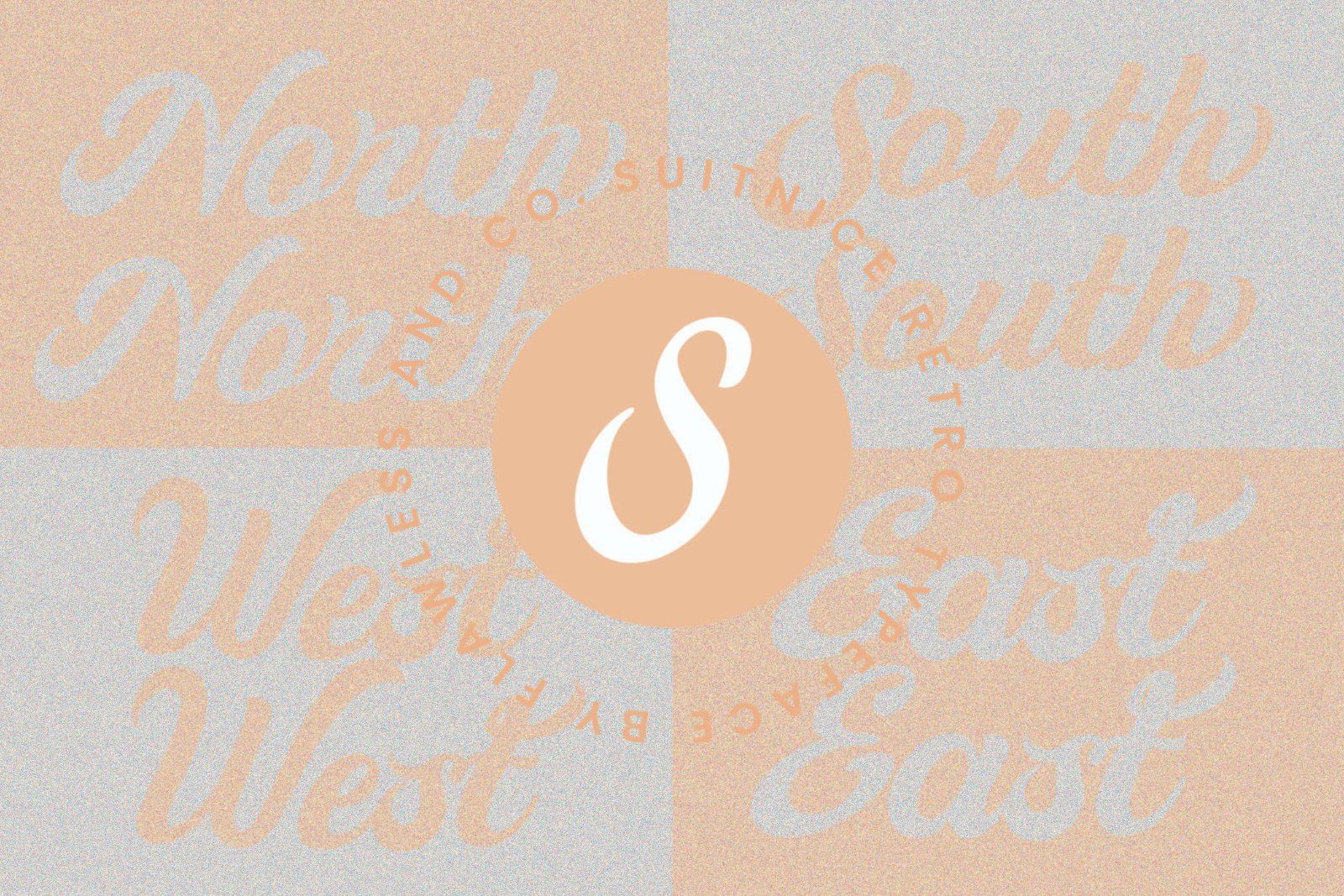 Suitnice - Retro Script Font — image 9