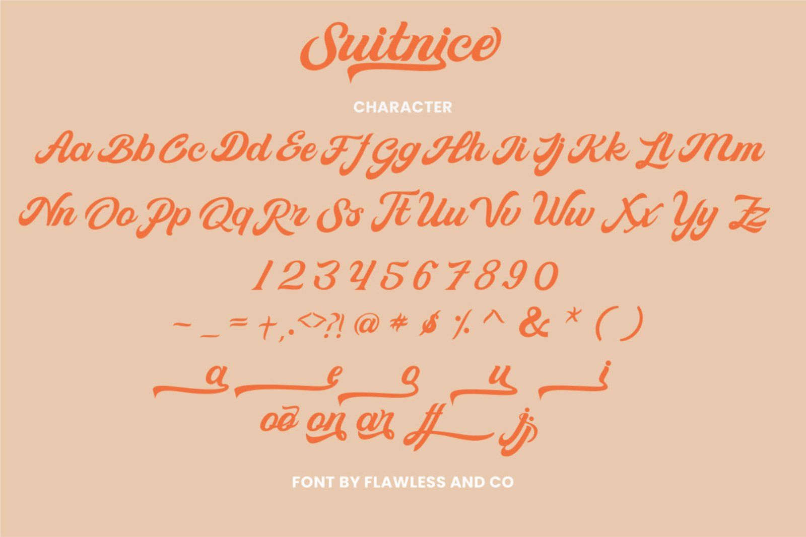 Suitnice - Retro Script Font — image 10