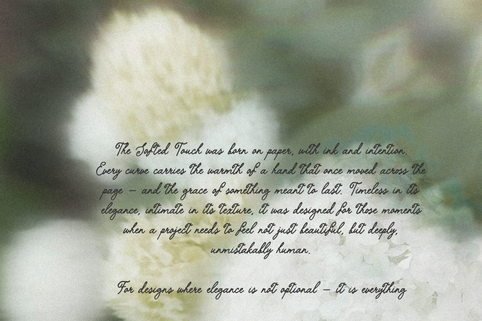The Softed Touch Vintage Script font Ink font handwritten — image 2