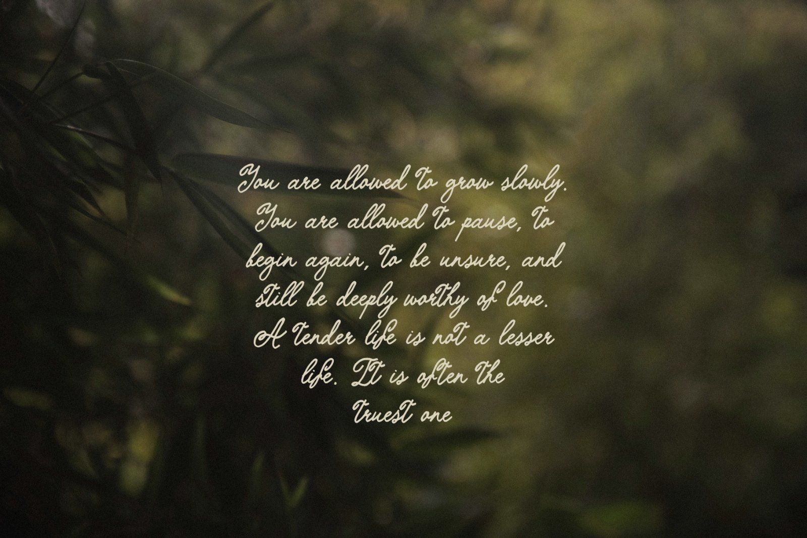 The Softed Touch Vintage Script font Ink font handwritten — image 5