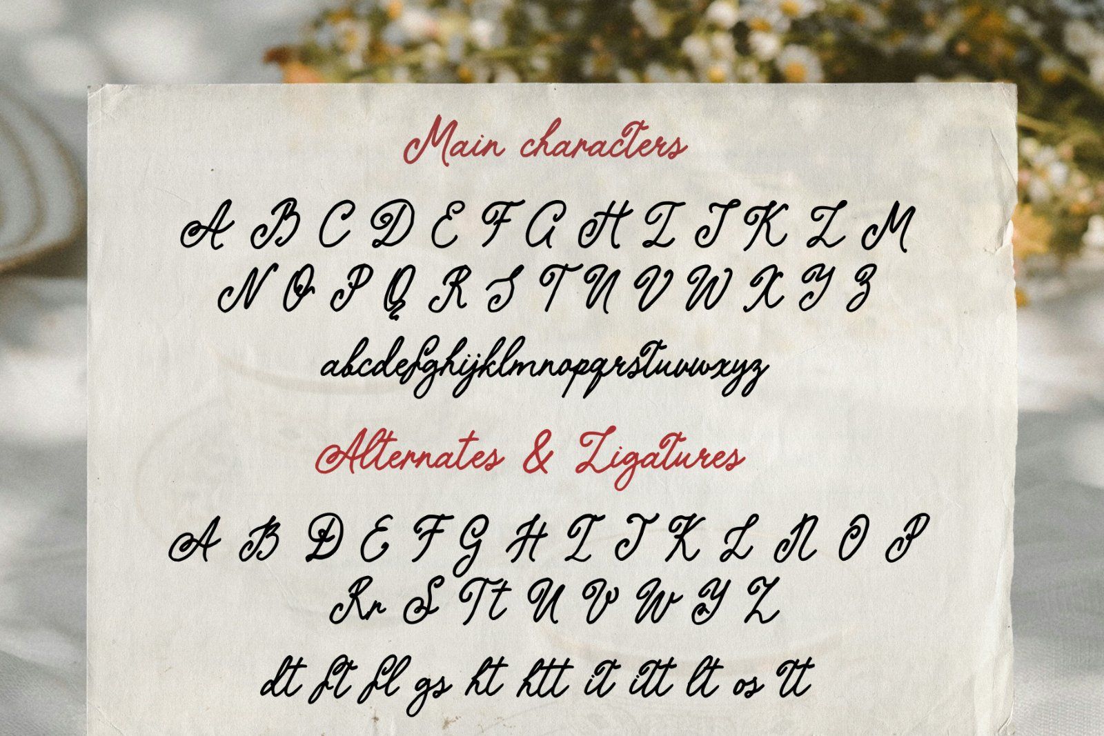 The Softed Touch Vintage Script font Ink font handwritten — image 8