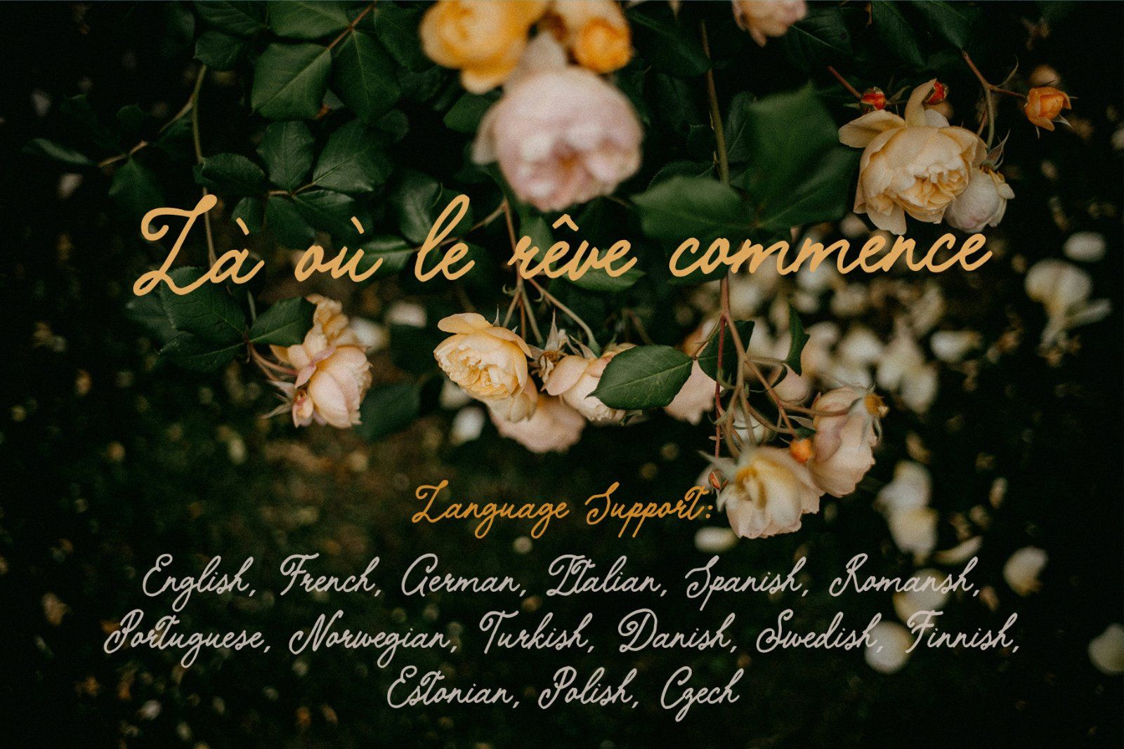 The Softed Touch Vintage Script font Ink font handwritten — image 11