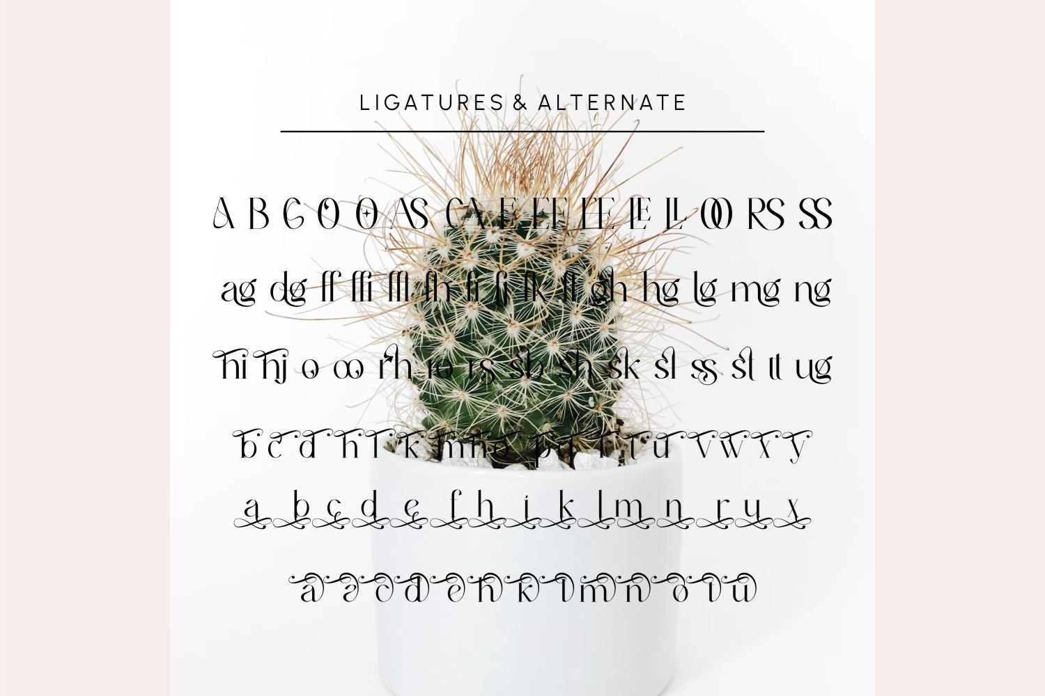 Thirossa _ Beauty Typeface — image 10