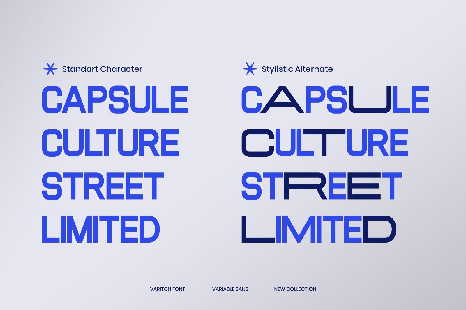 Variton - Modern Sans Serif Font — image 6