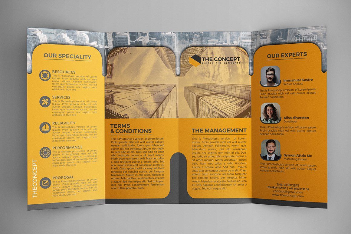 Double Gate fold Brochure — image 2